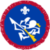 Martial Arts badge Martial Arts badge