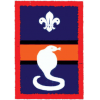 Cobra Patrol (Patrol) badge Cobra Patrol (Patrol) badge