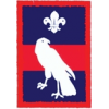 Hawk Patrol (Patrol) badge Hawk Patrol (Patrol) badge