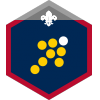 Team Leader badge Team Leader badge