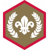 Chief Scout's Gold badge Chief Scout's Gold badge