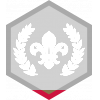 Chief Scout's Gold badge Chief Scout's Gold badge