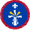 Electronics badge Electronics badge