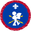 Orienteer badge Orienteer badge