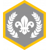 Chief Scout's Silver badge Chief Scout's Silver badge