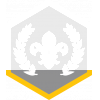 Chief Scout's Silver badge Chief Scout's Silver badge