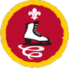 Skater badge Skater badge