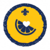 Health and Fitness badge Health and Fitness badge