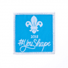 YouShape 2018 badge YouShape 2018 badge